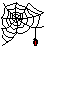 spiders05